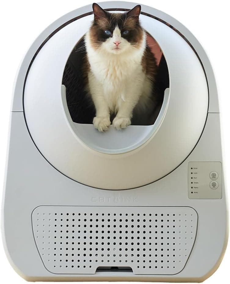 猫2匹の留守番対策【2026年】|自動トイレ+給餌機セット5選